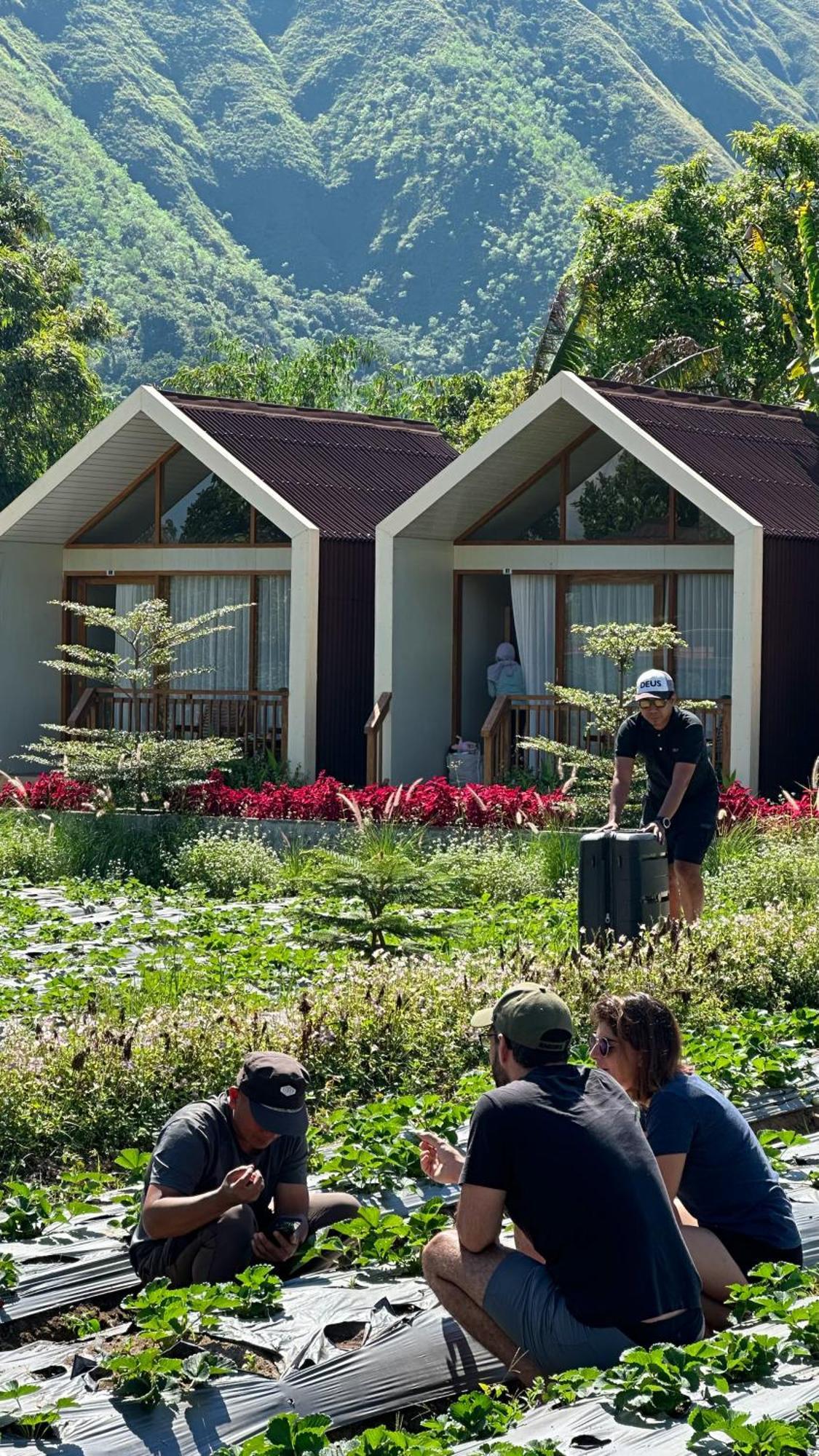 Rautani Sembalun Apartamento Sembalunlawang Exterior foto