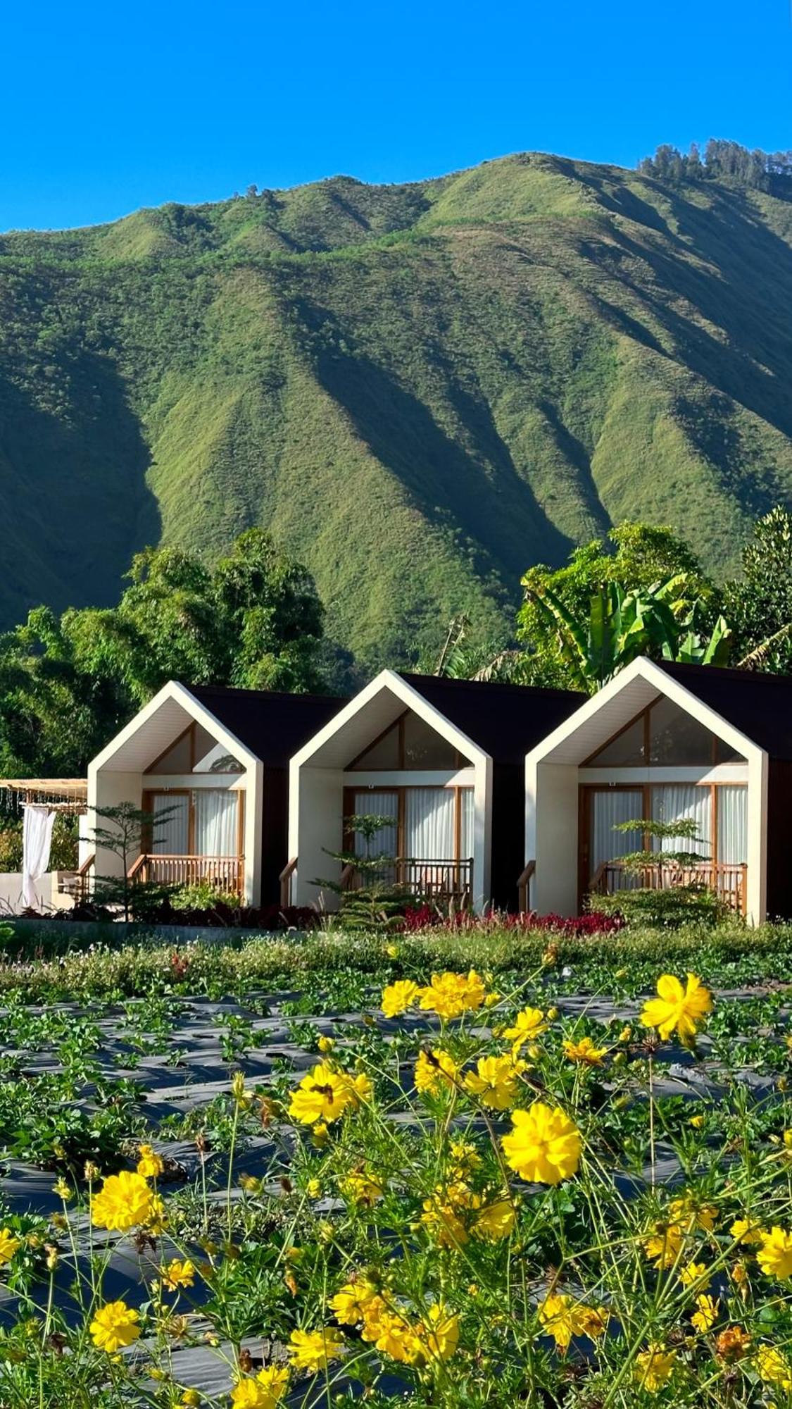 Rautani Sembalun Apartamento Sembalunlawang Exterior foto
