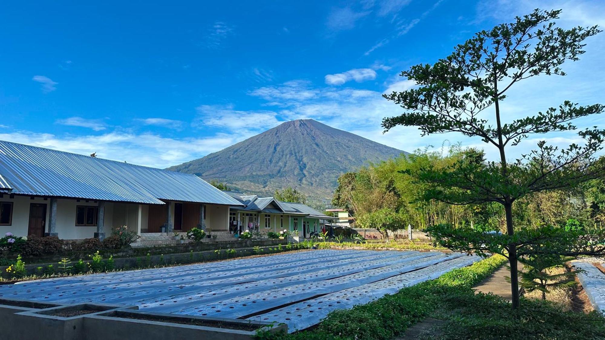 Rautani Sembalun Apartamento Sembalunlawang Exterior foto